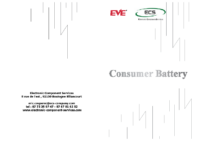 EVE consumer battery